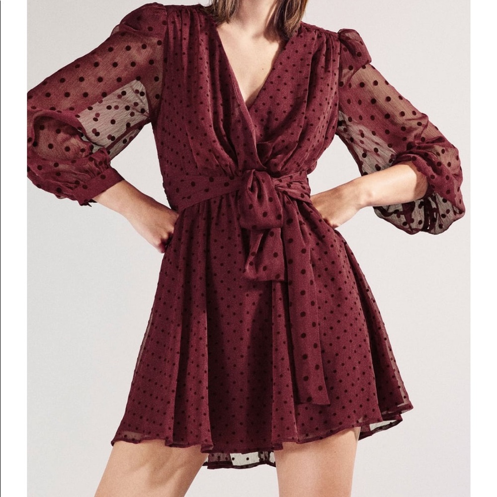 Zara Dot Mesh Mini Dress